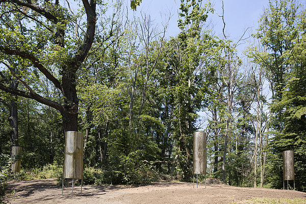 Kunstwerk Wächter, Kunstweg Arche Nebra