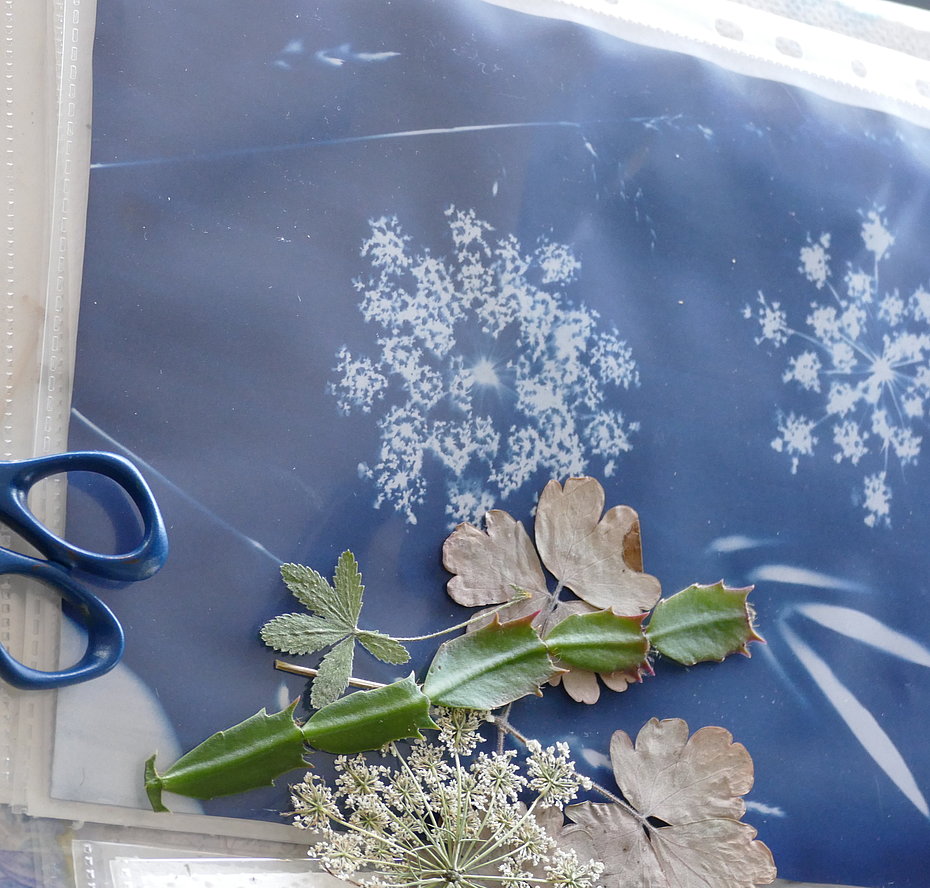 Eine Schere und Blätter und Blumen liegen auf mehreren Bögen Papier auf einen Holztisch. Das oberste Blatt ist in Cyanotopietechnik bearbeitet. Es ist blau eingefärbt, und als Negativabdrücke sind in Weiß die Umrisse von Blüten zu erkennen. 
